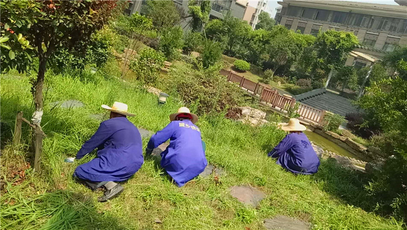 1560236159198771.jpg 綠(lǜ)化(huà)拔草(cǎo).jpg